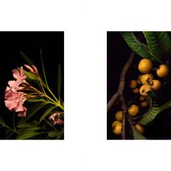 1 per una nuova vita