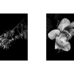 5 per una nuov vita jpg